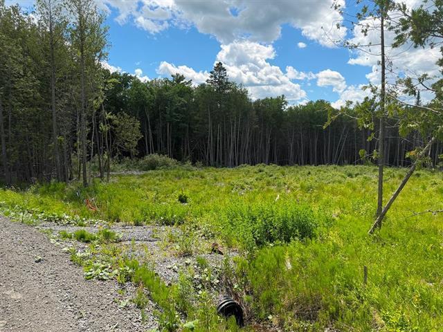 Grand Lac St-François, Lambton, Estrie. Beau grand terrain boisé de 260,7 pi X 291,9 pi. irr. superficie de 75 855 pi.ca. ACCÈS notarié au lac avec dr — photo 2