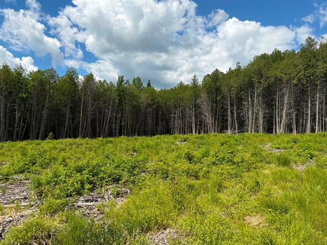 Grand Lac St-François, Lambton, Estrie. Beau grand terrain boisé de 260,7 pi X 291,9 pi. irr. superficie de 75 855 pi.ca. ACCÈS notarié au lac avec dr — photo 3