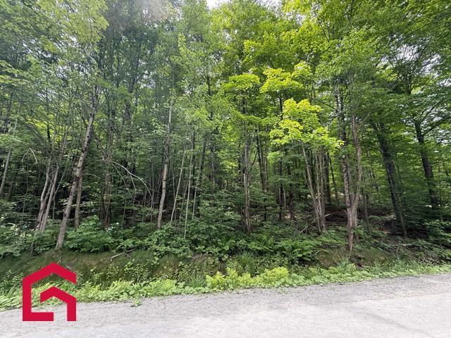 Terrain — photo 3