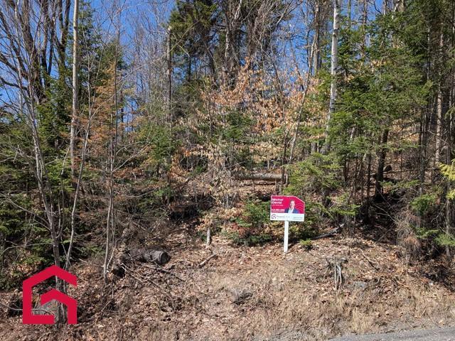 Terrain — photo 2