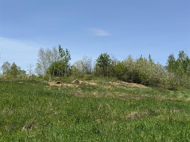 Terrain — photo 1