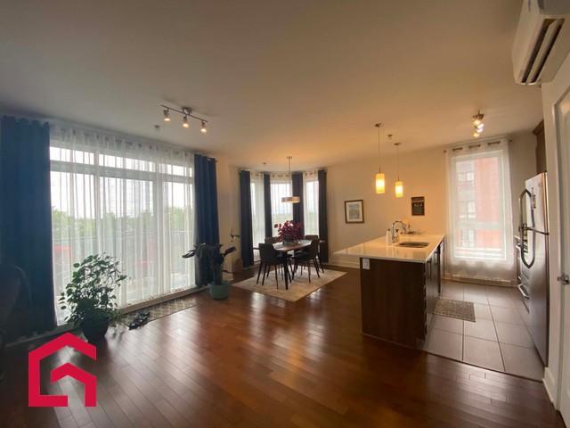 Appartement 5