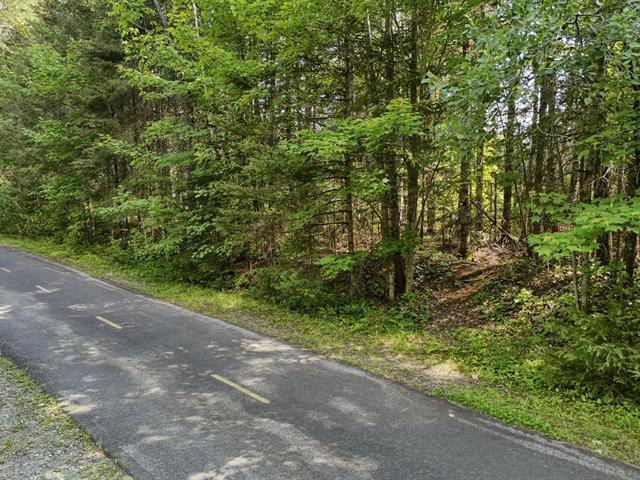 Terrain — photo 1