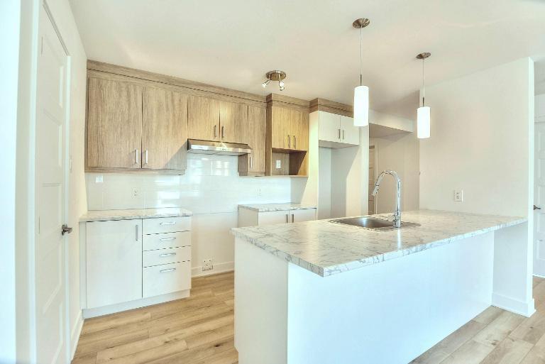 38 Rue Laurin — photo 1