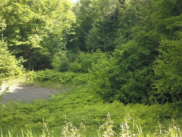Terrain — photo 2