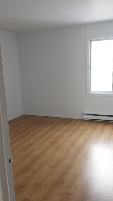 7385 Boulevard Perras — photo 2