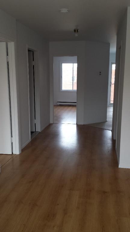 7385 Boulevard Perras — photo 3