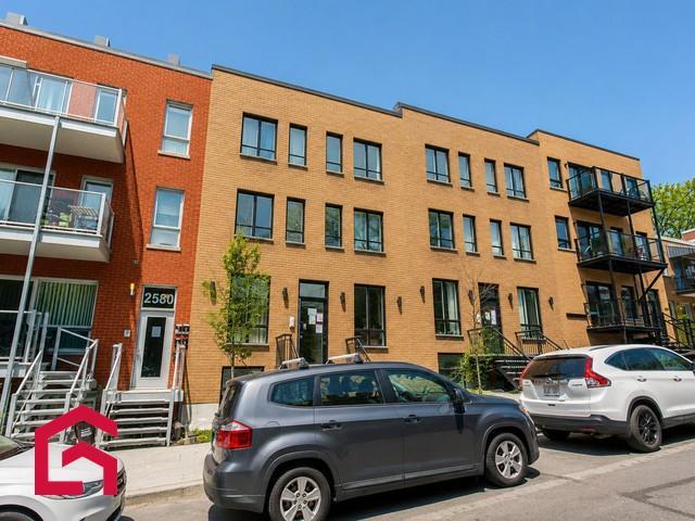 2590 — photo 2