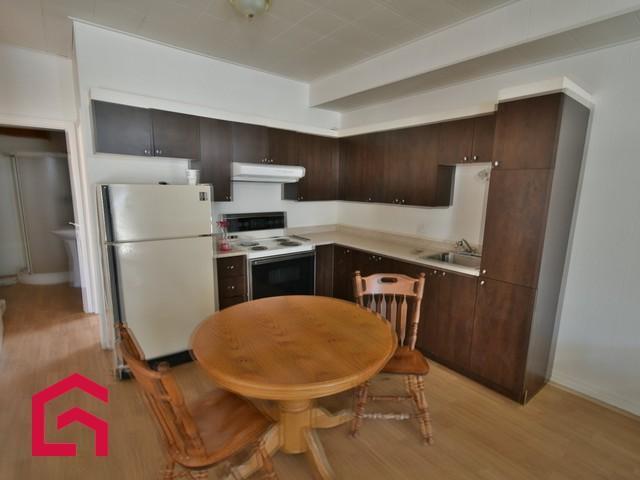 256 272 Rue l'Annonciation N. — photo 2