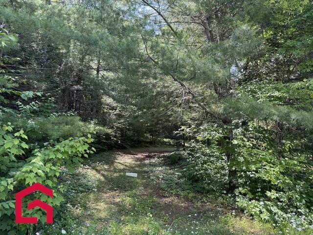 Terrain — photo 3