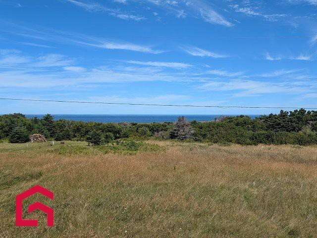 Terrain — photo 1