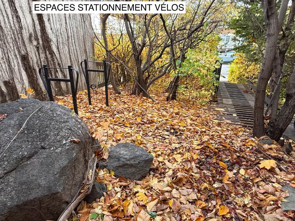 COLOC AHUNTSIC MONTREAL - GRANDE CHAMBRE À LOUER 5