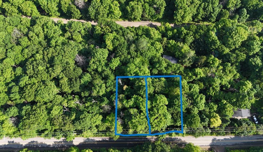 AUBAINE 2 terrains pour le prix d'un LAURENTIDES Saint-Adolphe-d'Howard à vendre — photo 2