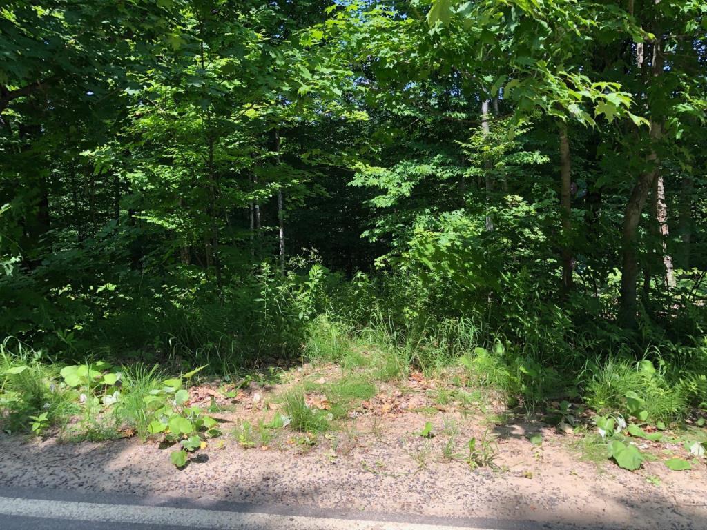 AUBAINE 2 terrains pour le prix d'un LAURENTIDES Saint-Adolphe-d'Howard à vendre — photo 3