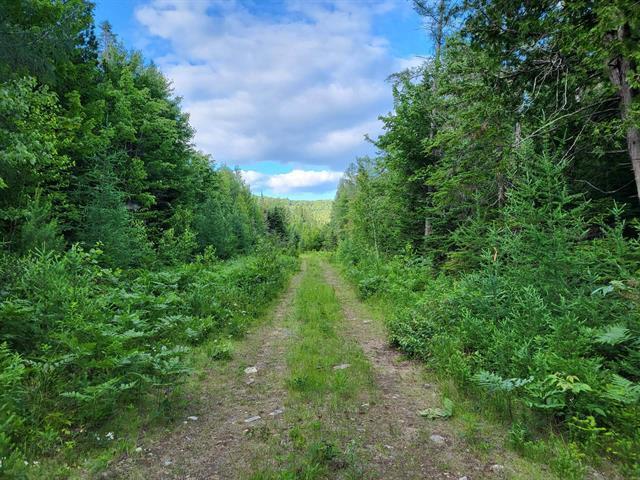 Terrain — photo 3