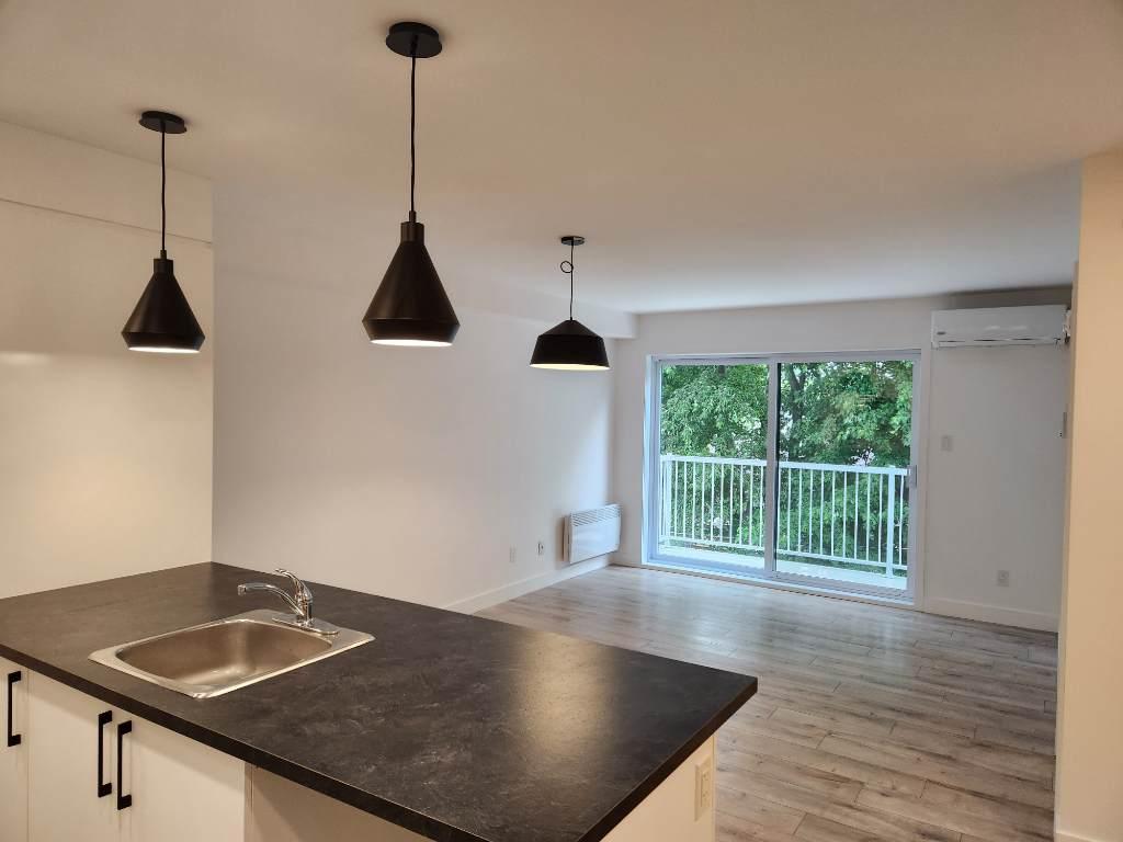 3315 chemin ste-foy — photo 3
