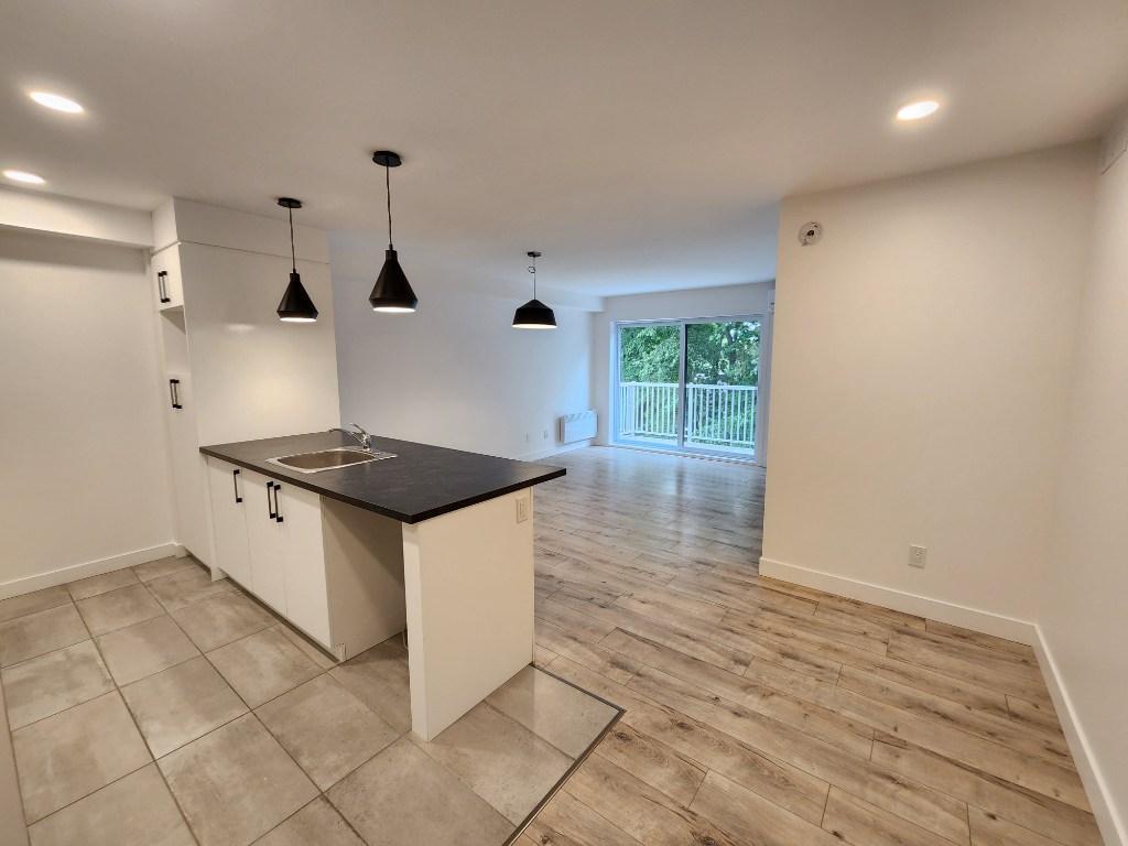 3315 chemin ste-foy — photo 2