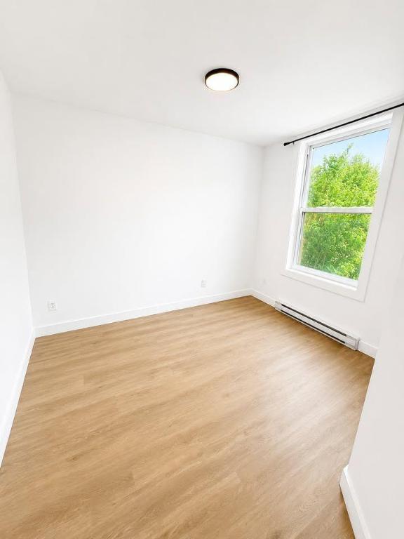 376 Rue Willibrord — photo 3
