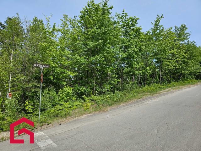 Terrain — photo 2