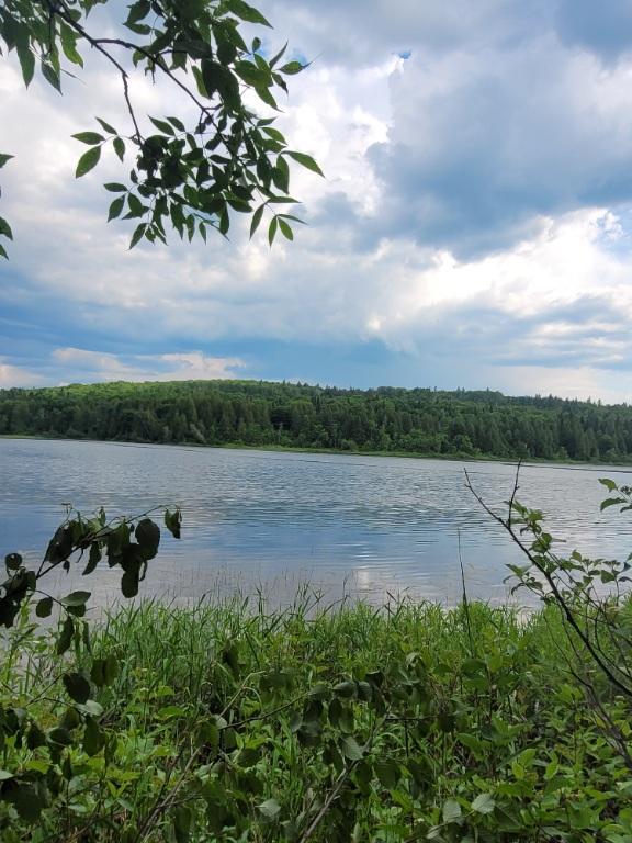 931 Route 295 Sud, Saint-Michel-du-Squatec, QC, Canada — photo 2