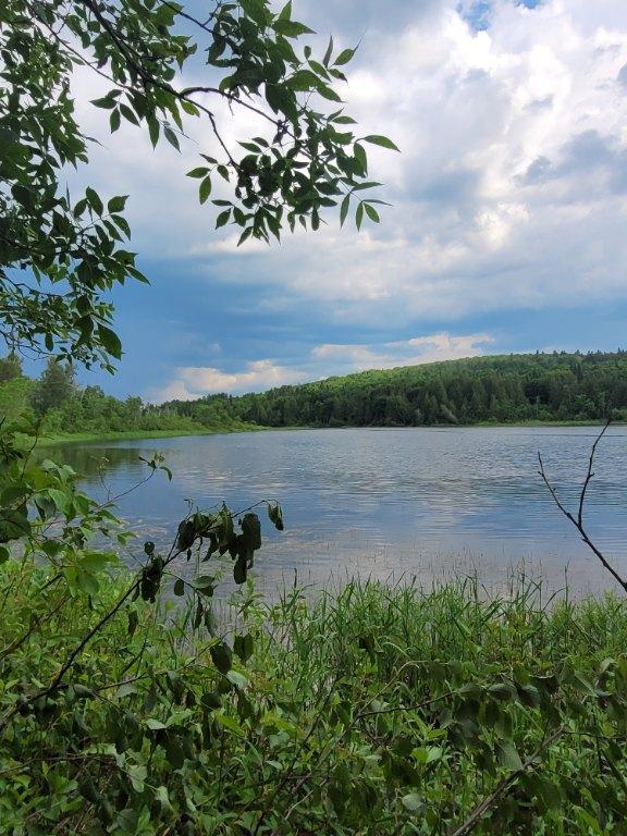 931 Route 295 Sud, Saint-Michel-du-Squatec, QC, Canada — photo 3