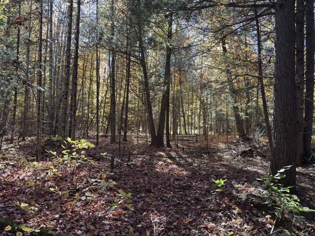 Terrain — photo 3