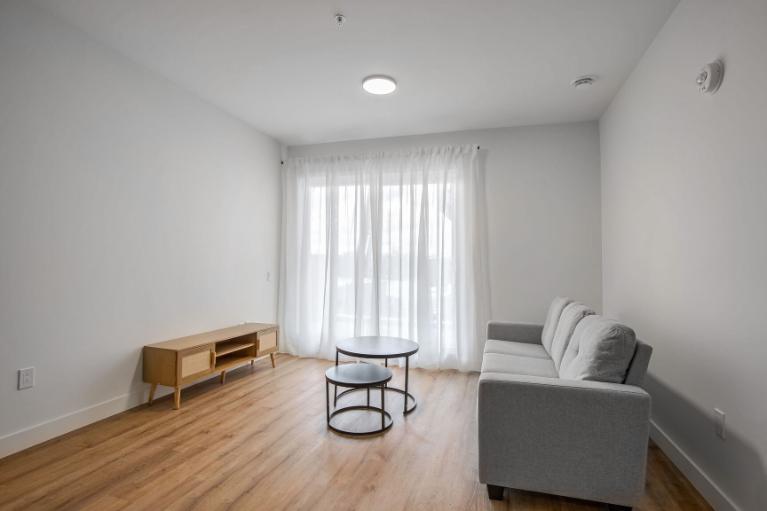 3 1/2 - Montréal (La Petite-Patrie) - 1 650 $/mois 5