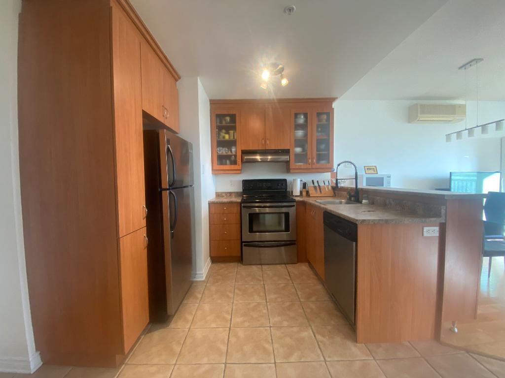 8520 Rue Raymond Pelletier — photo 3