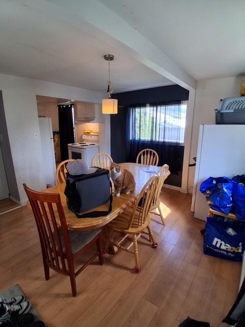 133a Rue Cousineau — photo 1