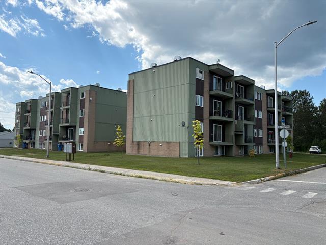 211 213 Av. Louis-Hémon — photo 3