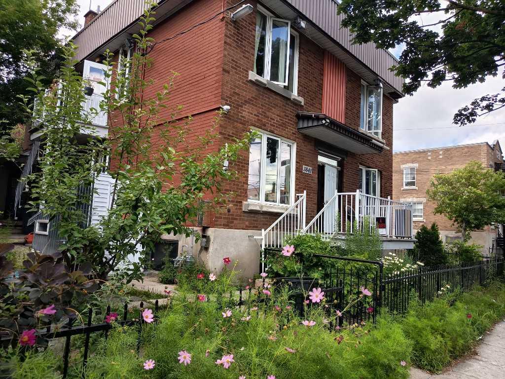 3841 Rue Dandurand — photo 1