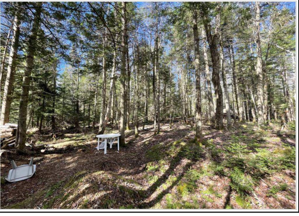 35 Chemin Armand Martineau, Saint-Herménégilde, QC, Canada — photo 1