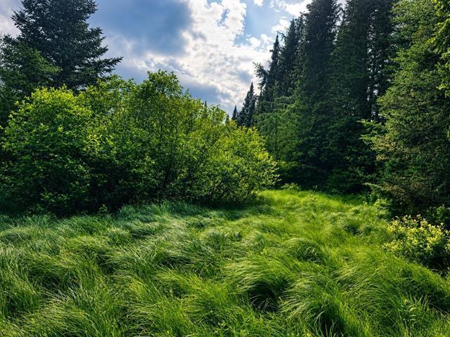 Terrain — photo 2