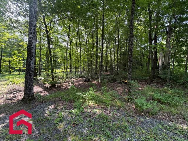 Terrain — photo 1