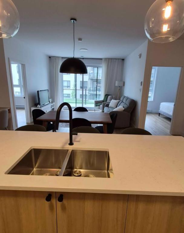 184 rue louis-joseph-papineau — photo 1
