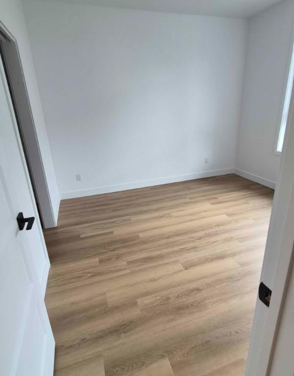 184 rue louis-joseph-papineau — photo 3