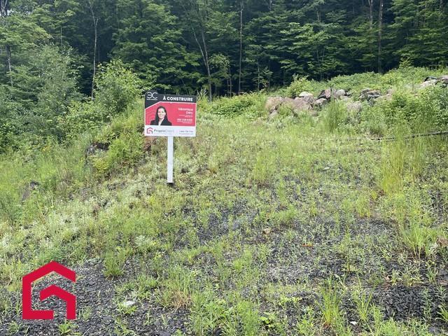 Terrain — photo 1