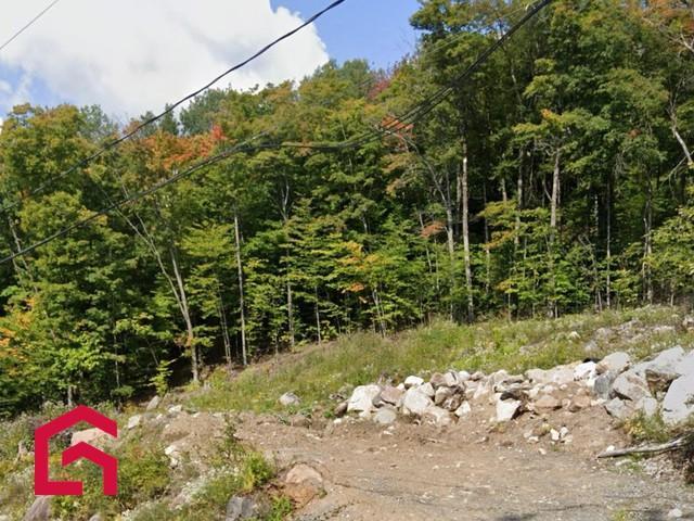 Terrain — photo 2