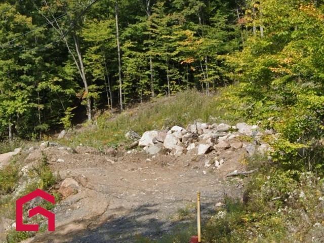 Terrain — photo 3