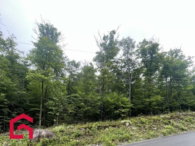 Terrain — photo 3