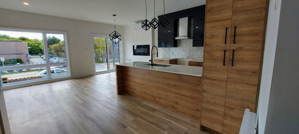 480 Chemin Pierre Péladeau — photo 2