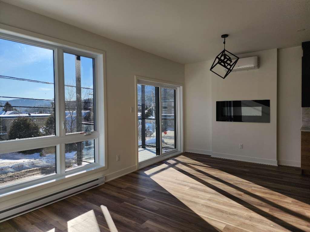 480 Chemin Pierre Péladeau — photo 3