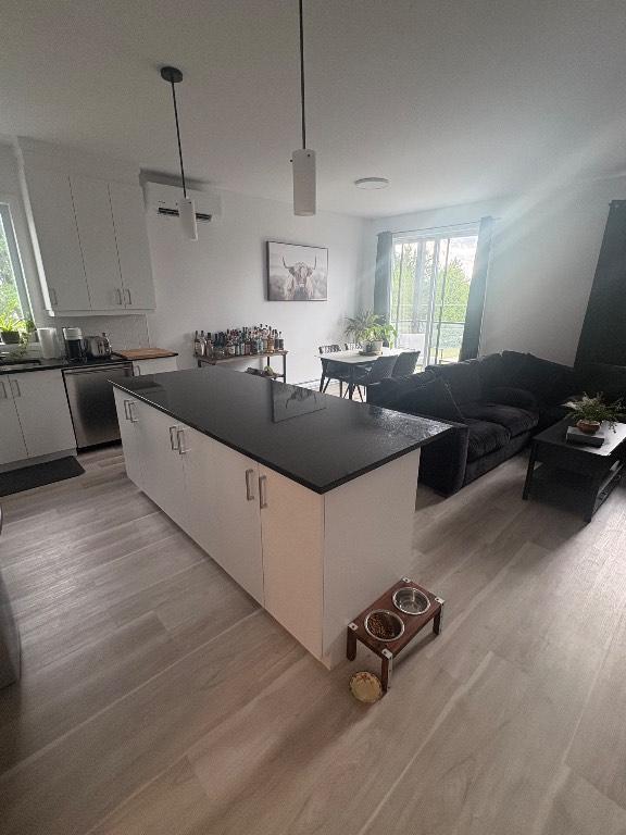 5 1/2 à louer | St-Ignace-de-Loyola — photo 1