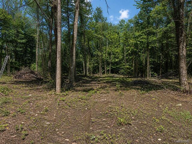 Terrain — photo 1