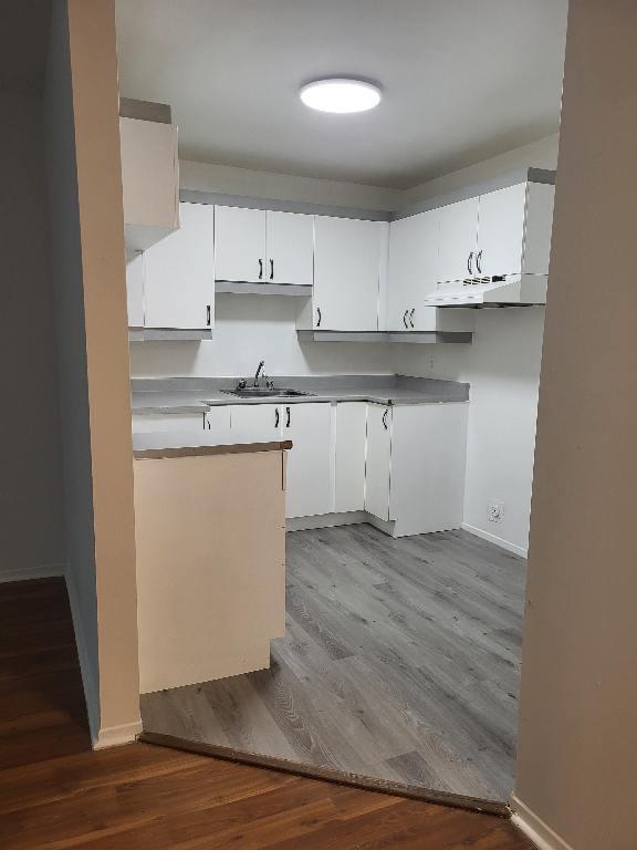 repentigny- Beau et grand 3 1/2 - 4