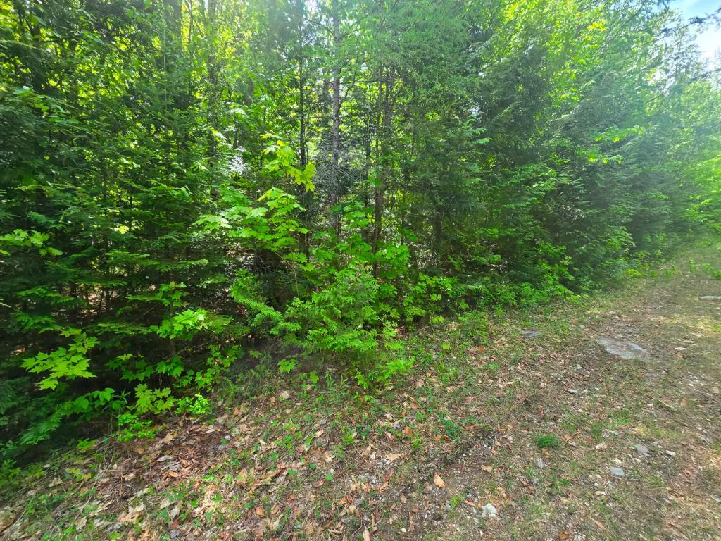 2810 Rue Mountain, Rawdon, QC, Canada — photo 2