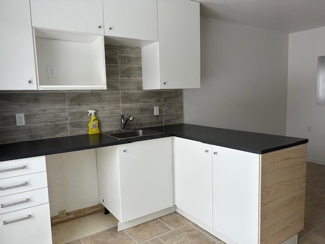 206 Rue Globensky — photo 1