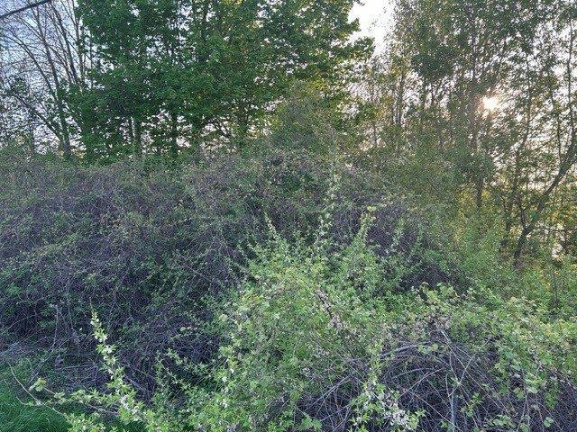 Terrain — photo 2