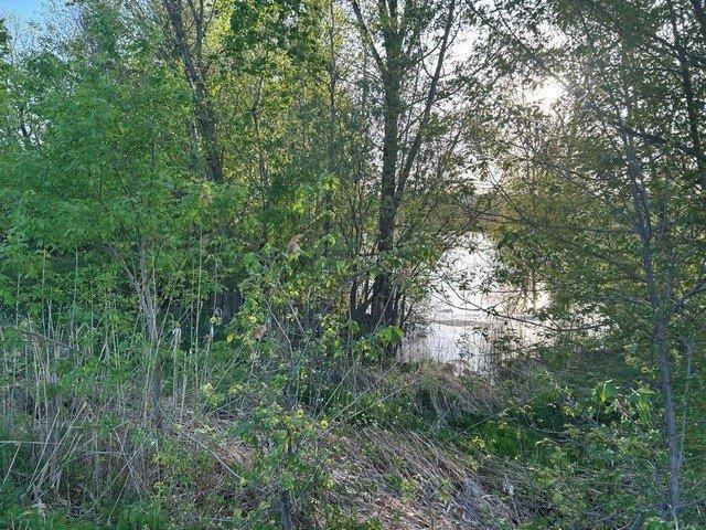 Terrain — photo 3