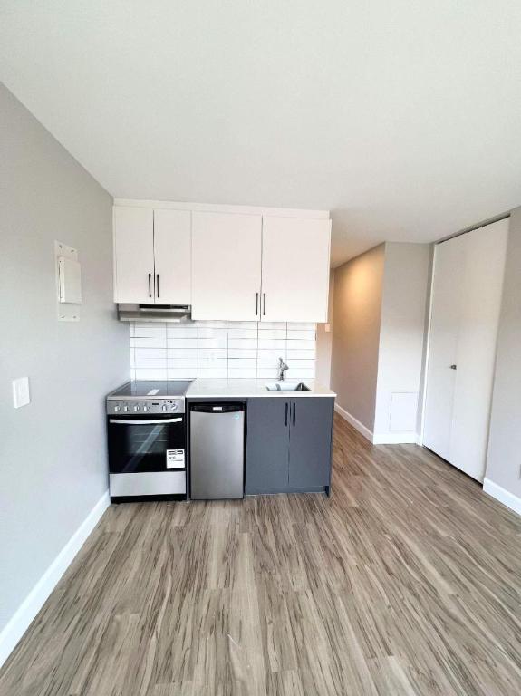 1150 Rue Bélanger — photo 1